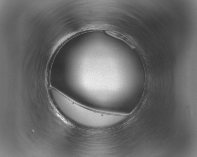 X0000077380846200610201041