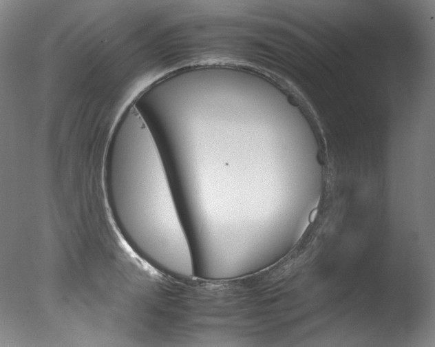 X0000077380847200610201041