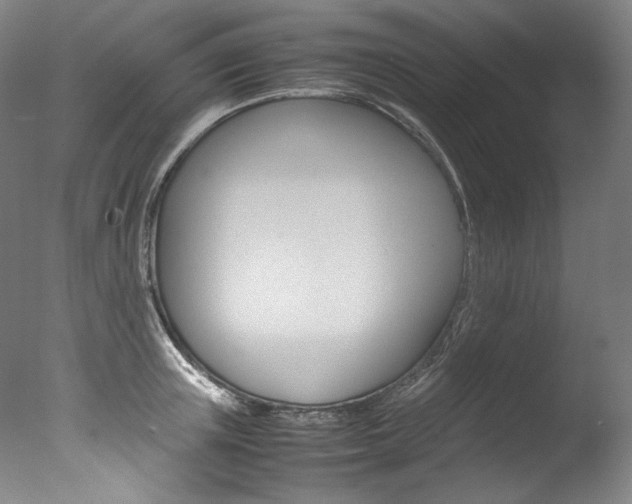 X0000077380851200610201041