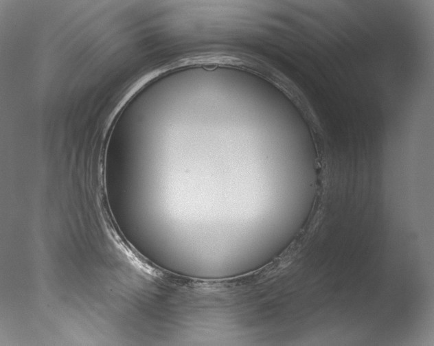 X0000077380852200610201041