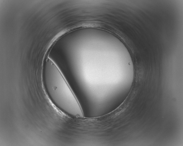 X0000077380853200610201041