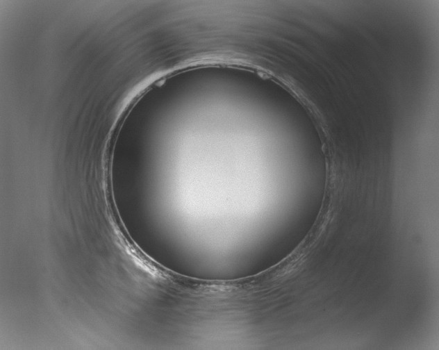 X0000077380854200610201041
