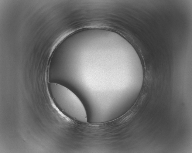 X0000077380855200610201041