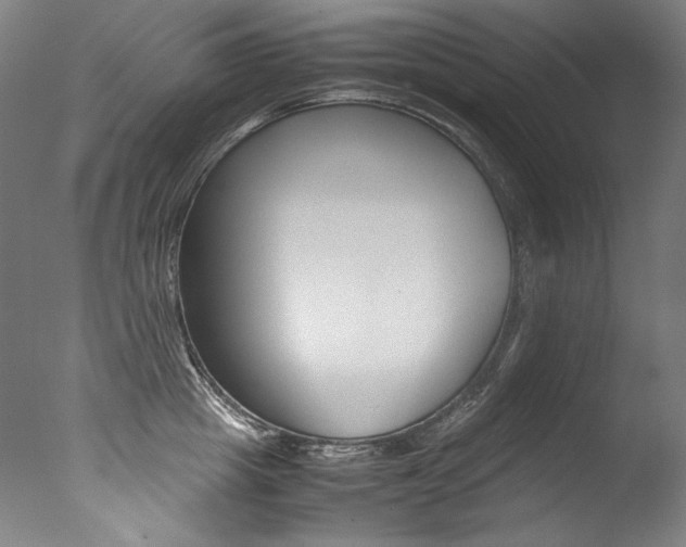 X0000077380857200610201041