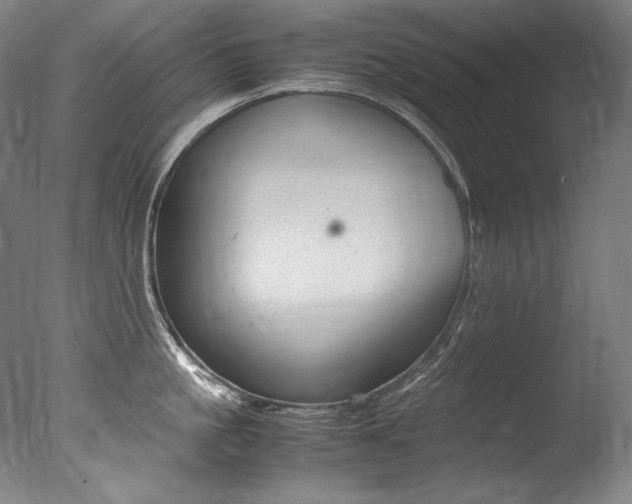 X0000077380861200610201041