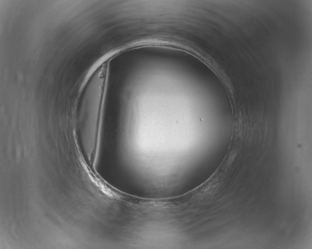 X0000077380862200610201041