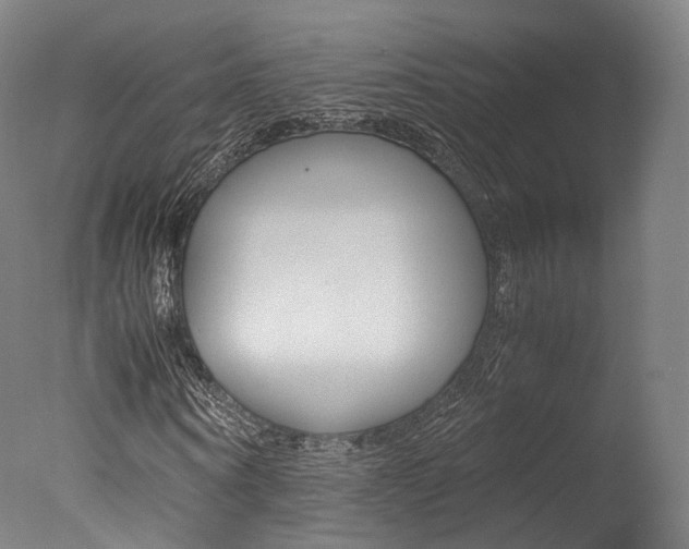 X0000077380866200610201040