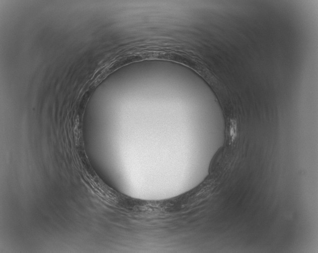X0000077380867200610201040