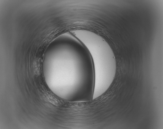 X0000077380868200610201040