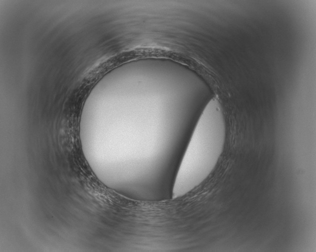 X0000077380870200610201040