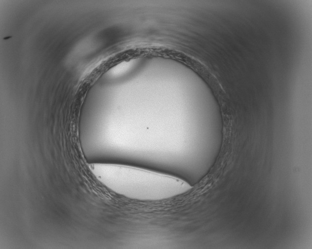 X0000077380871200610201040