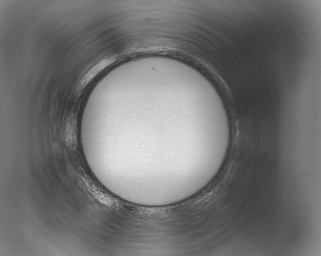 X0000077380874200610201040