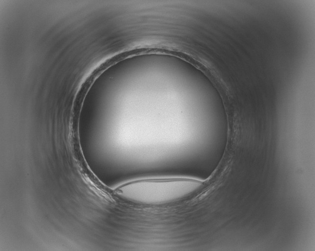 X0000077380880200610201040
