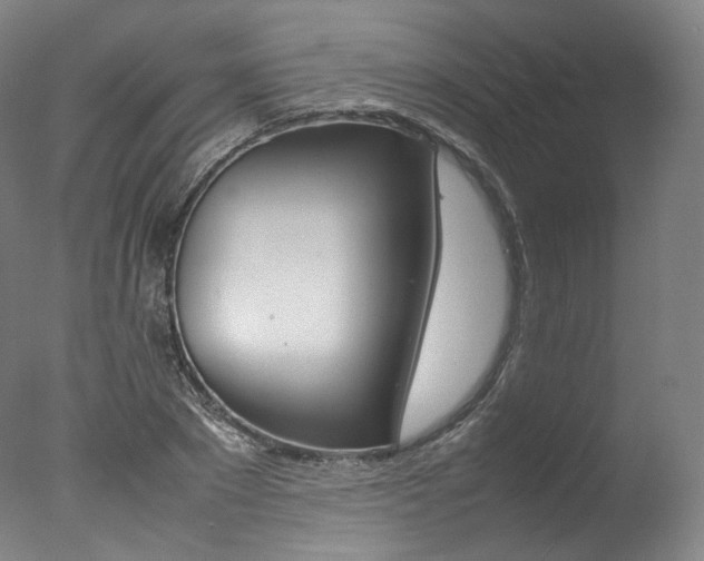 X0000077380881200610201040