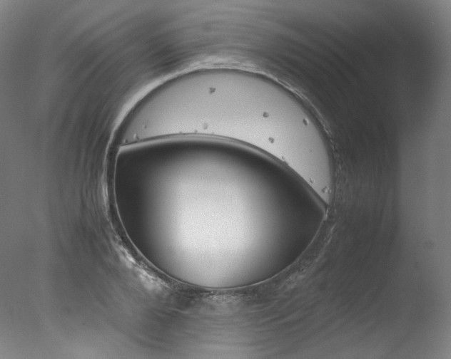 X0000077380888200610201040