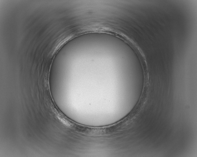 X0000077380889200610201040