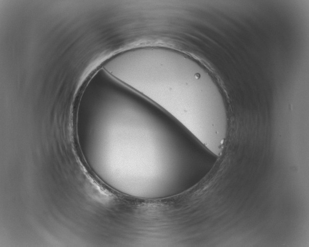 X0000077380894200610201040