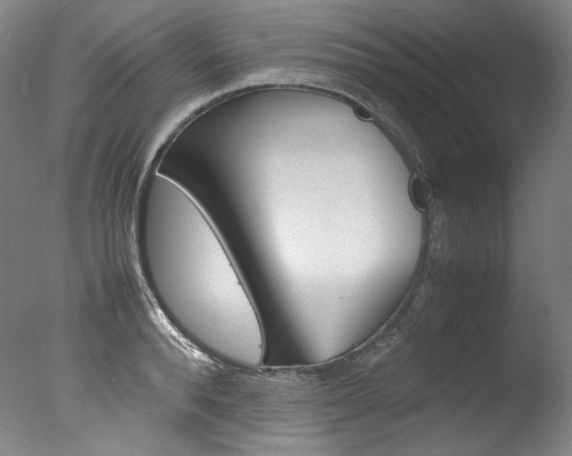 X0000077380896200610201040