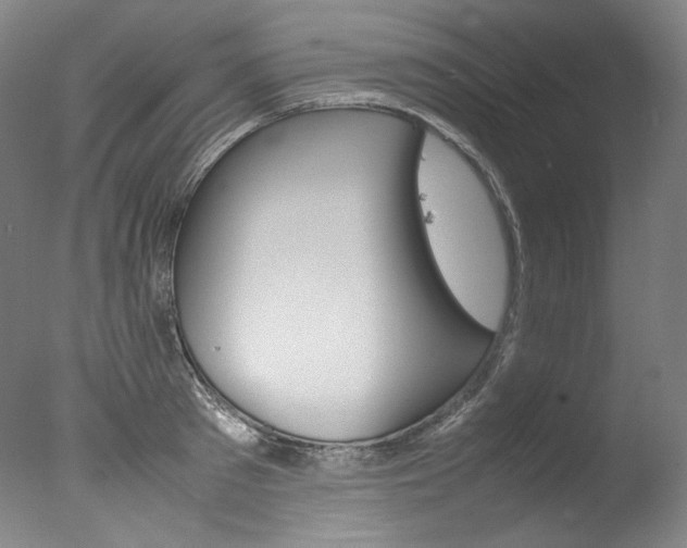 X0000077380897200610201040