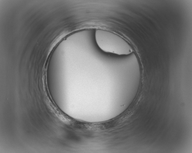 X0000077380899200610201040