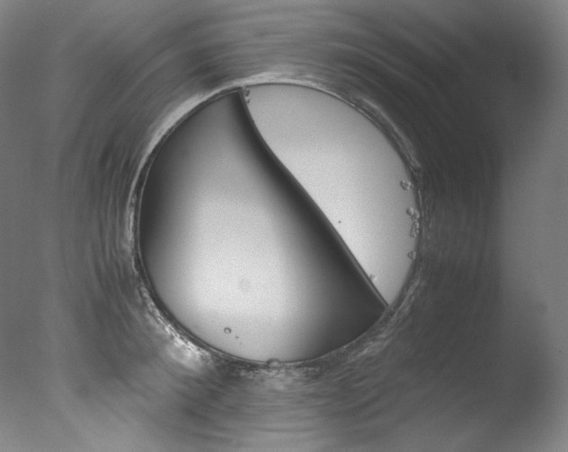 X0000077380900200610201040