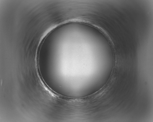 X0000077380902200610201040