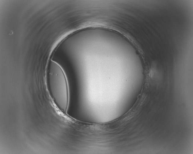 X0000077380904200610201039