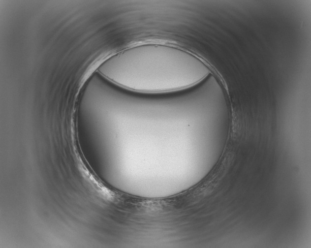 X0000077380906200610201039
