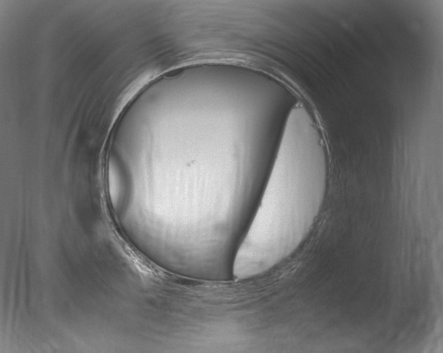 X0000077380907200610201039