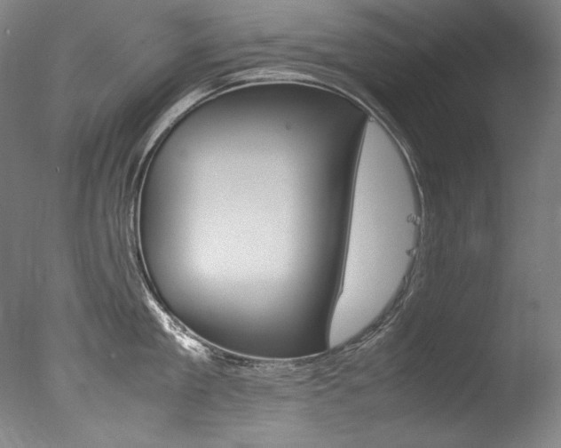 X0000077380909200610201039