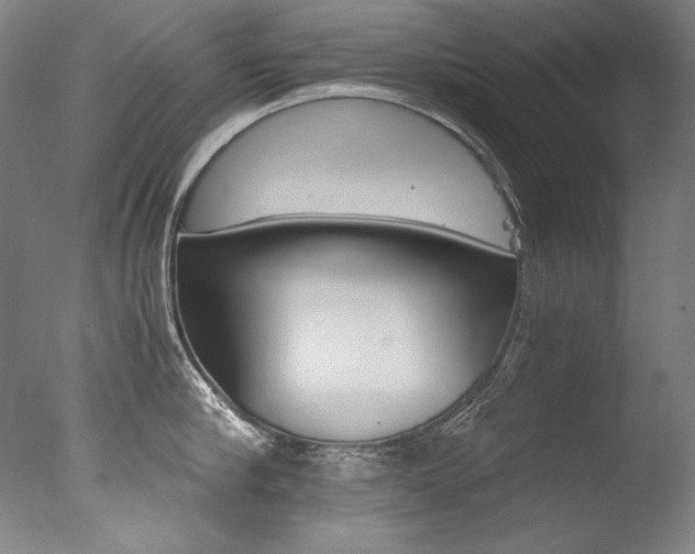 X0000077380910200610201039