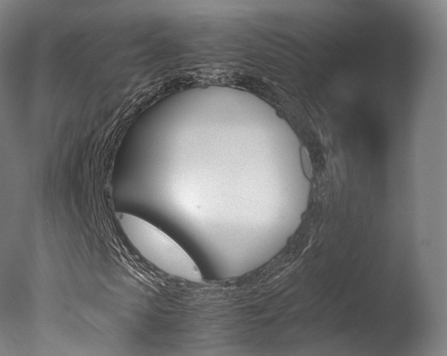 X0000077380913200610201039