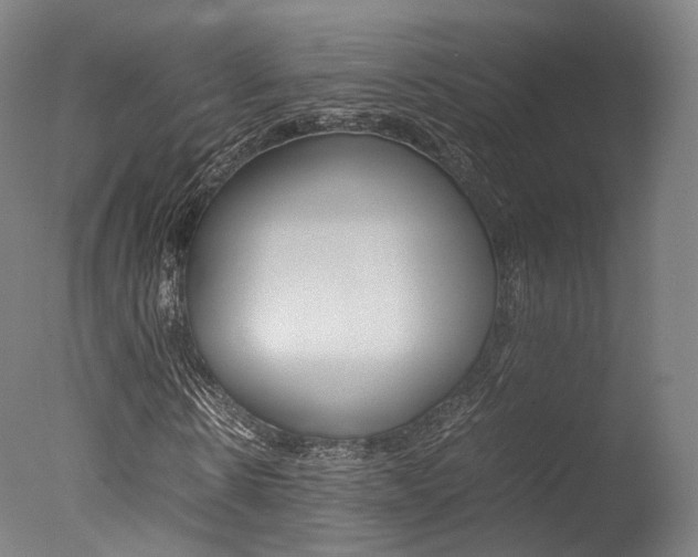X0000077380914200610201039