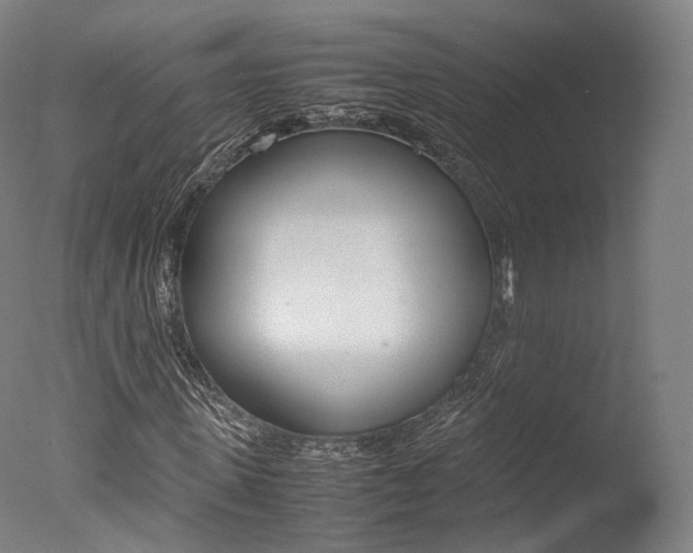 X0000077380915200610201039