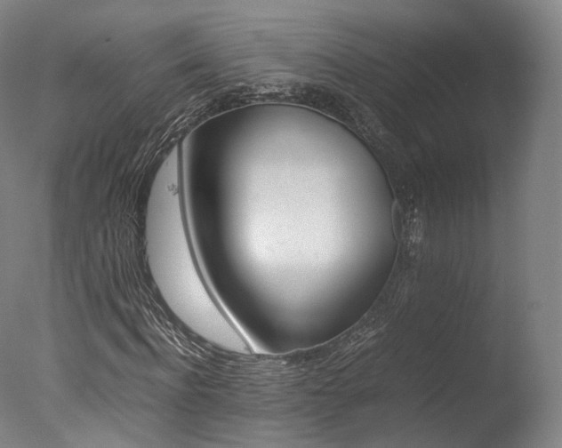 X0000077380916200610201039