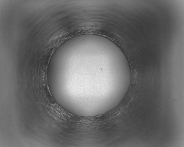 X0000077380917200610201039