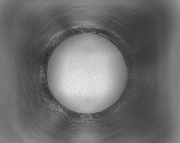 X0000077380918200610201039