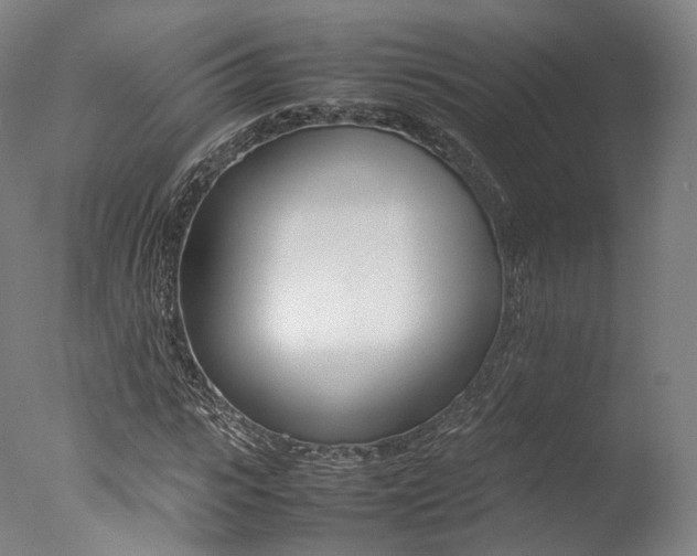 X0000077380919200610201039