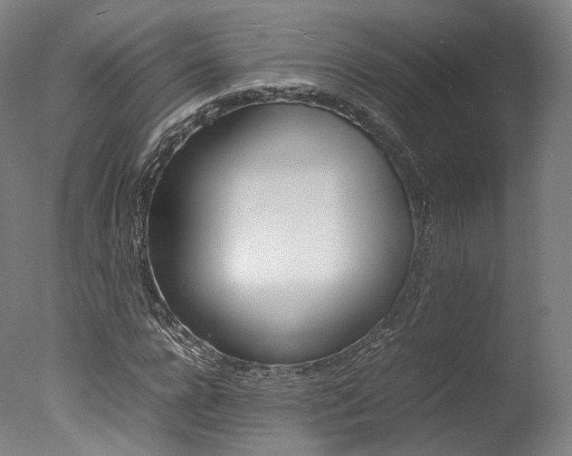 X0000077380920200610201039