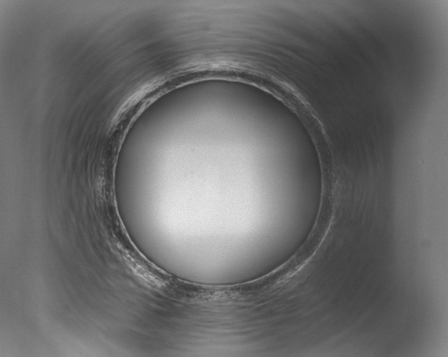X0000077380922200610201039