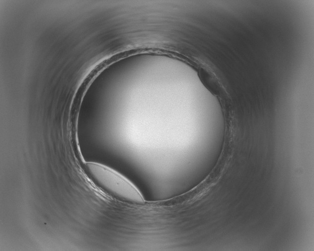 X0000077380924200610201039