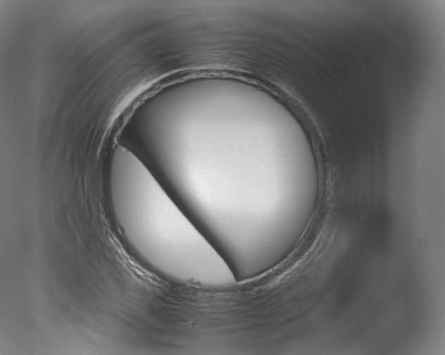 X0000077380925200610201039