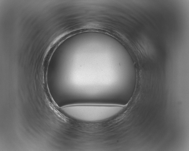 X0000077380931200610201039