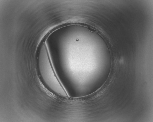 X0000077380934200610201039