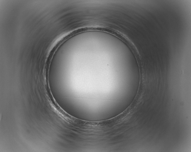 X0000077380935200610201039
