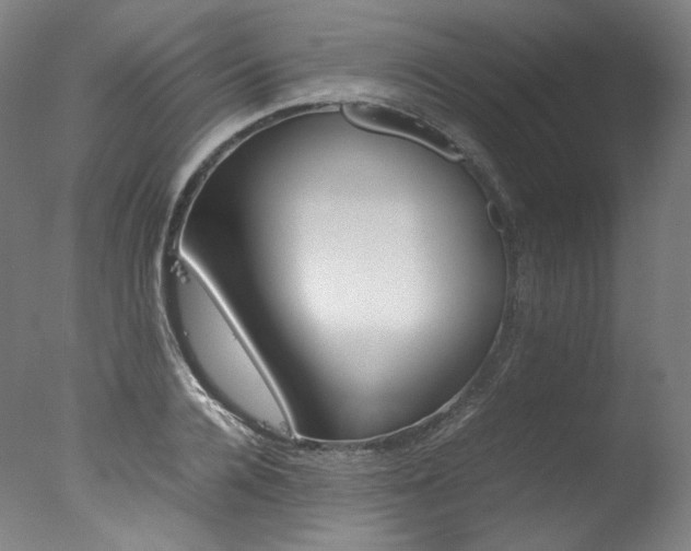 X0000077380936200610201039