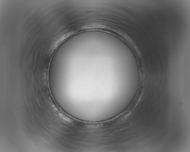 X0000077380937200610201039