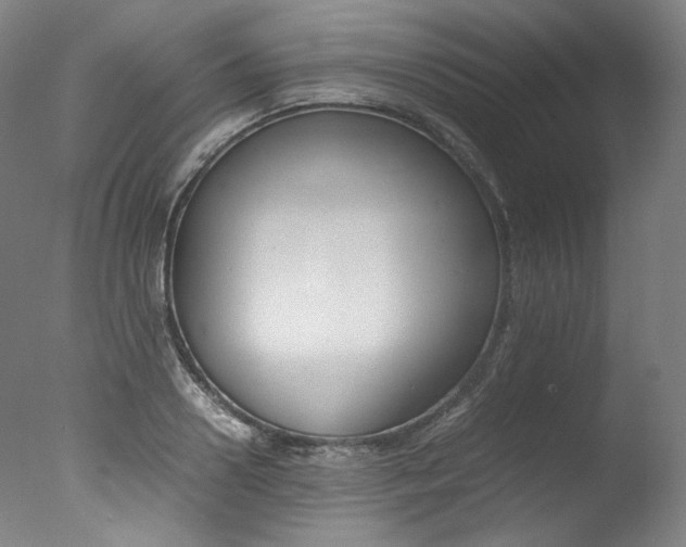 X0000077380938200610201039