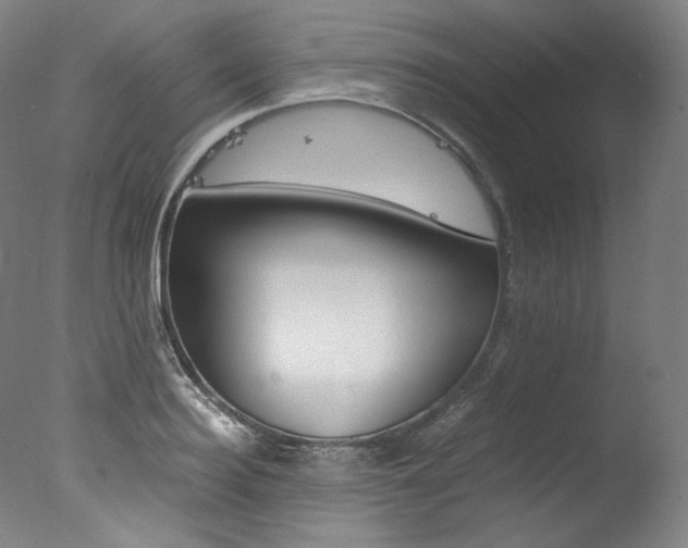 X0000077380940200610201039