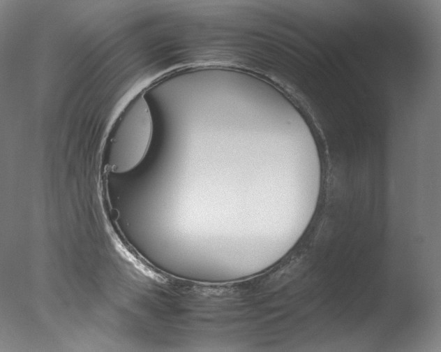 X0000077380941200610201039